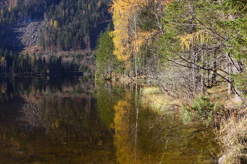 Datei:Ödensee 78069 2014-11-03.jpg