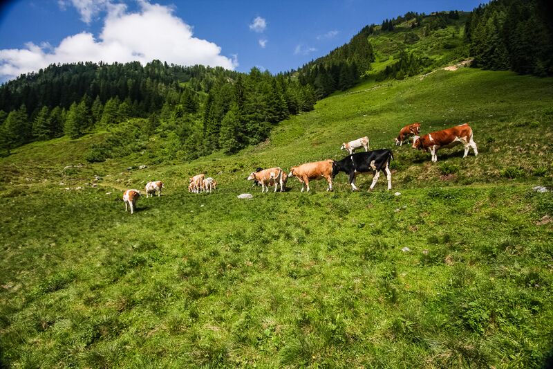 Datei:Englitztal 43304 2012-06-17.jpg