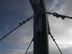 Guschen 46894 2006-02-27.jpg