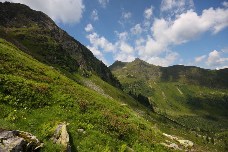 Datei:Herzmaierkar 32583 2011-07-06.jpg