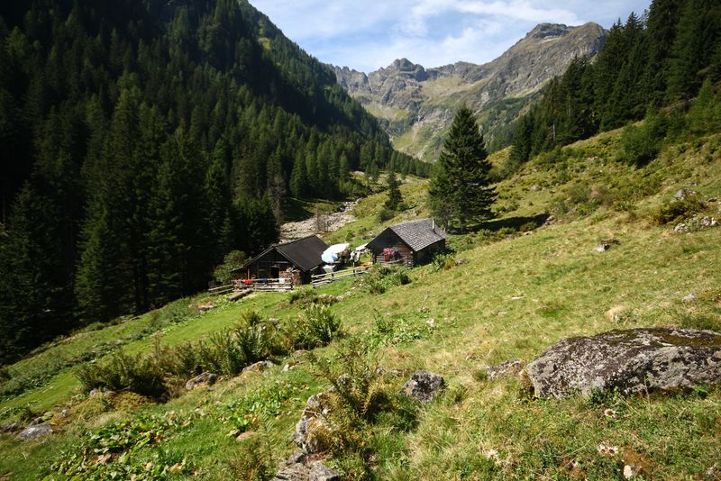 Datei:Lassachalm kleinsölk 99049 2015-08-28.jpg