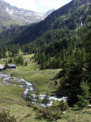 Neualm obertal 0069 2004-07-06.jpg