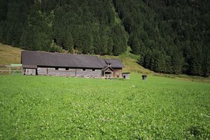 Potzalm strieglertal 54293 2017-07-21.jpg