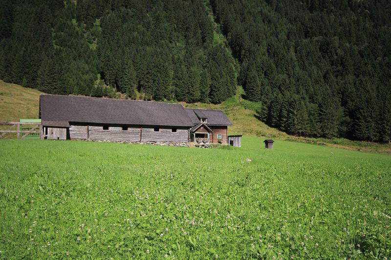 Datei:Potzalm strieglertal 54293 2017-07-21.jpg