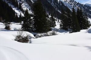 Ramertal 43698 2014-02-26.jpg