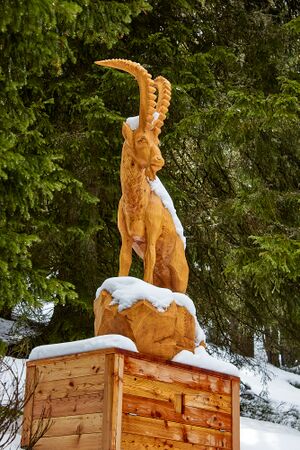 Waldwegerl planai-0059-2023-05-19.jpg