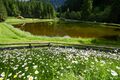 Wehrhofalm obertal 24995 2016-06-15.jpg