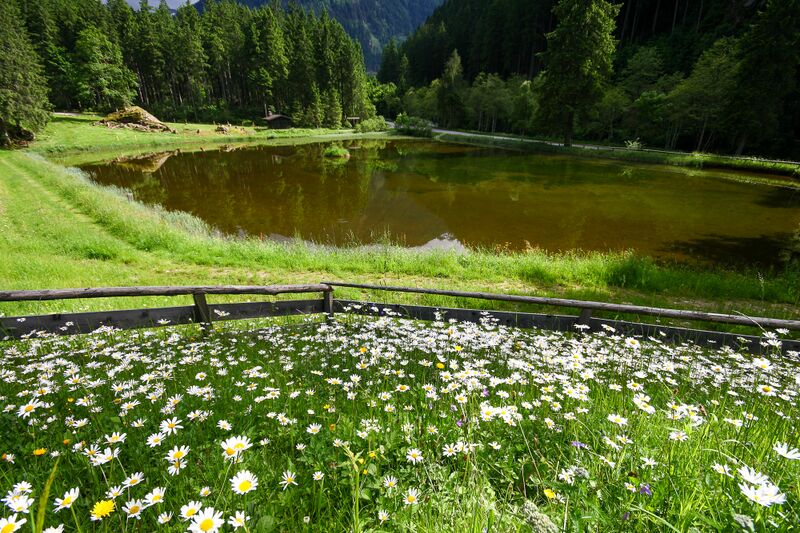 Datei:Wehrhofalm obertal 24995 2016-06-15.jpg