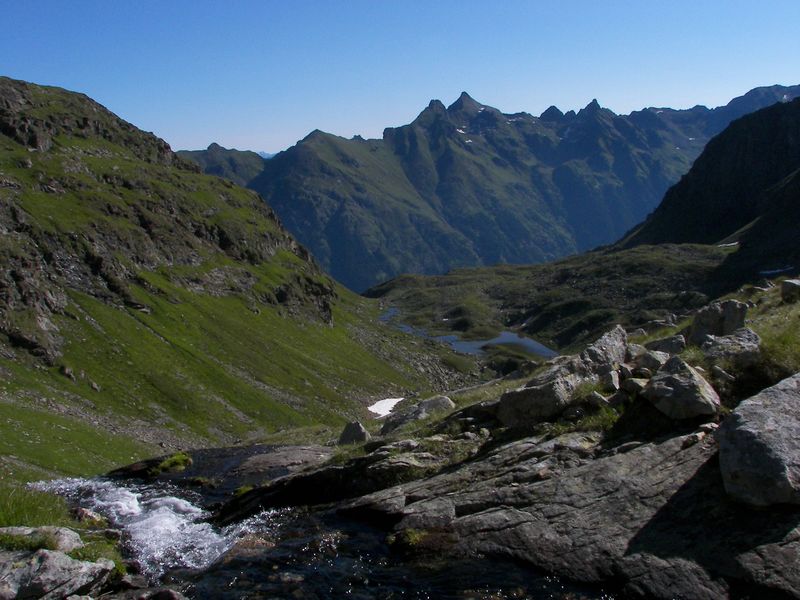 Datei:Wildkar 17410 2006-07-17.jpg