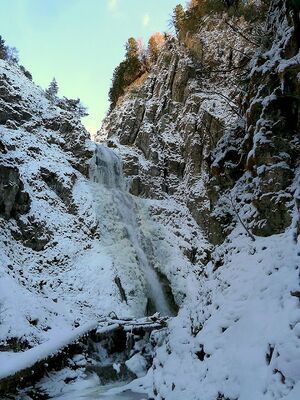 Wsf lessern mühlbach 58125 2014-05-16.JPG