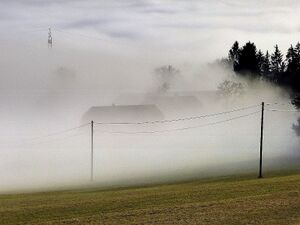 Bauernhof Preinsberger00603.JPG