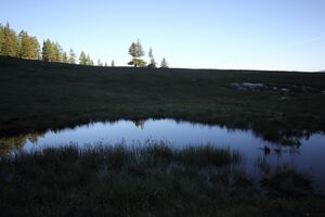 Gumpenkar 53245 2017-07-05.jpg