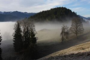 Halseralm-rittis 80043 2014-12-05.jpg