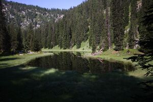 Karsee kemetgebirge 96891 2015-07-16.jpg