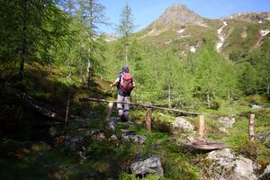 Katschtal 92571 2013-06-16.jpg