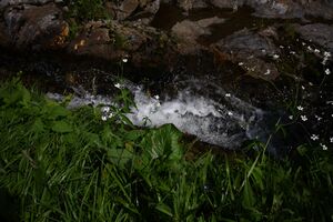 Mößnakarbach 0891 13-07-12.jpg