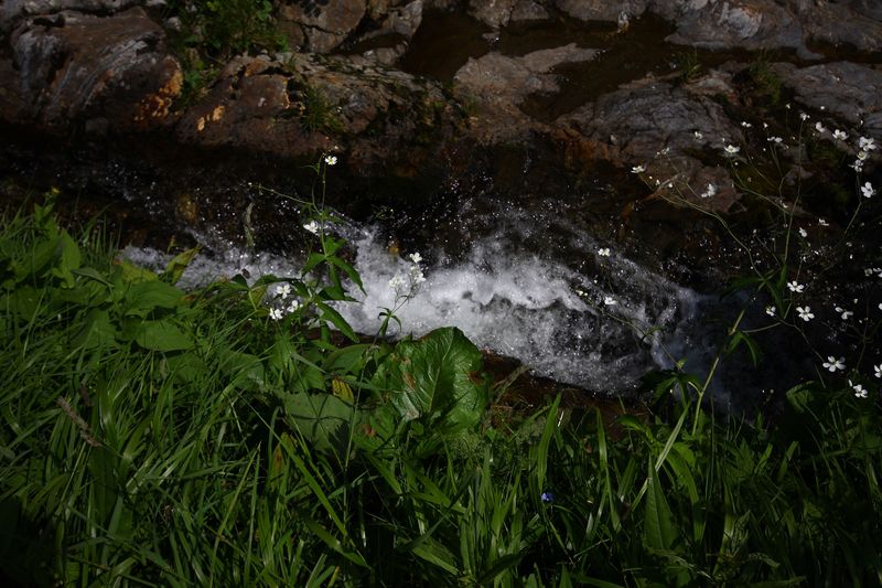 Datei:Mößnakarbach 0891 13-07-12.jpg