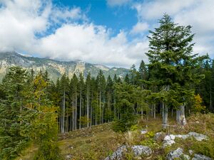 Manuel Capellari CAP2310011125161832-HDR.jpg