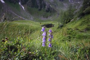 Südl-see tuchmoarkar 79740 2018-07-04.jpg