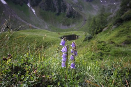 Südl-see tuchmoarkar 79740 2018-07-04.jpg