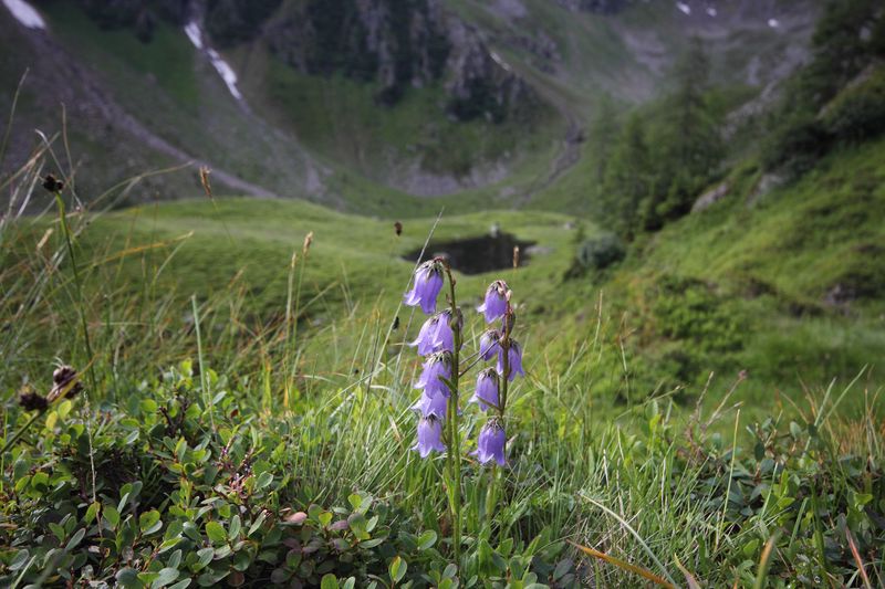 Datei:Südl-see tuchmoarkar 79740 2018-07-04.jpg