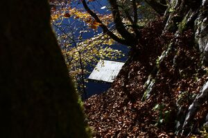 Toplitzsee 77809 2014-11-03.jpg