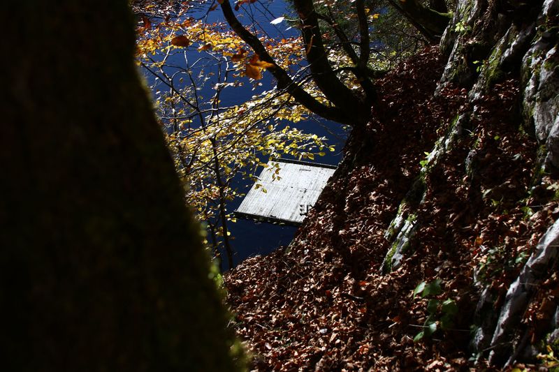 Datei:Toplitzsee 77809 2014-11-03.jpg