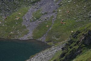 Unt landawirsee 33024 2011-08-01.jpg