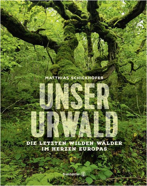 Datei:Urwald-Schickhofer.jpg