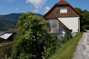 Vlg. weikl altlassing-0239-2023-06-14.jpg