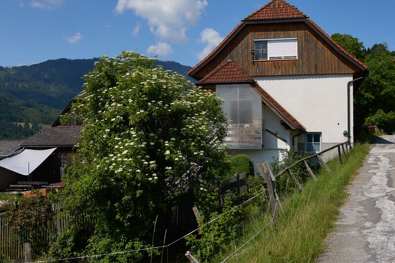 Datei:Vlg. weikl altlassing-0239-2023-06-14.jpg