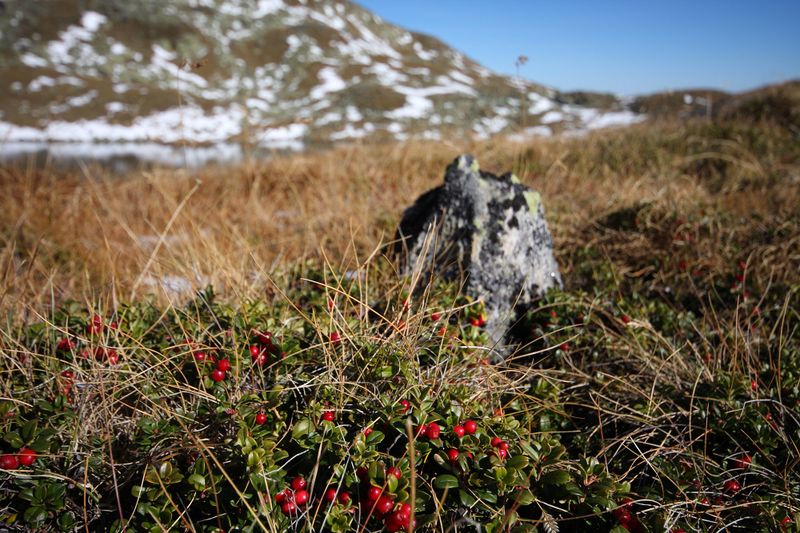 Datei:Weißensee knallstein 36417 2011-10-18.jpg