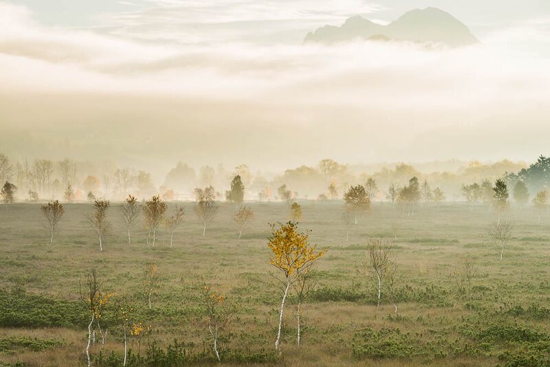 Datei:2013-10-12 Pürgschachener Moor.jpg