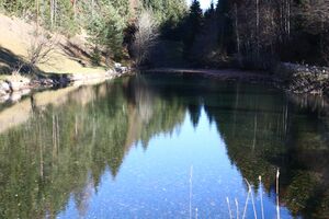 Almseeteich burgstaller 13929 2015-11-12.jpg