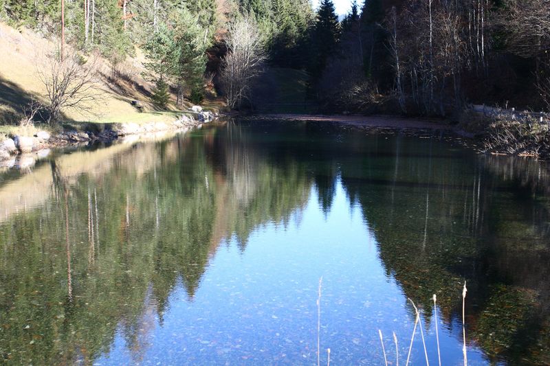 Datei:Almseeteich burgstaller 13929 2015-11-12.jpg