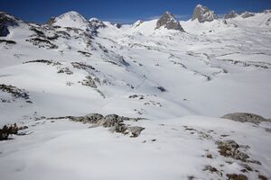 Drei dauben 98739 2019-04-16.jpg