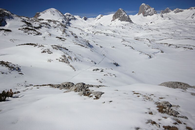 Datei:Drei dauben 98739 2019-04-16.jpg