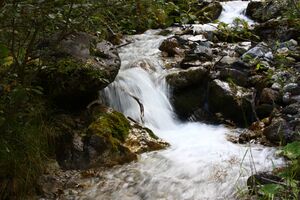 Feistererbach ramsau 70779 2014-09-09.jpg