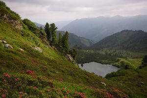 Finsterkarsee 1123 13-07-12.jpg