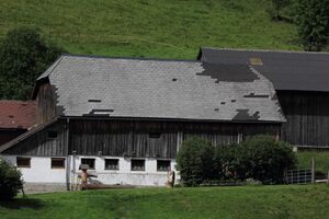 Haindlhof oppenberg 78191 2018-06-11.jpg