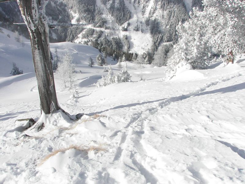 Datei:Hochfeld 43009 2006-01-19.jpg