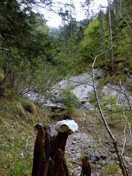 Datei:Humlechnergraben 54612 2014-04-27.JPG