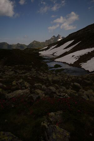 Im wildkar 23621 2008-06-26.jpg