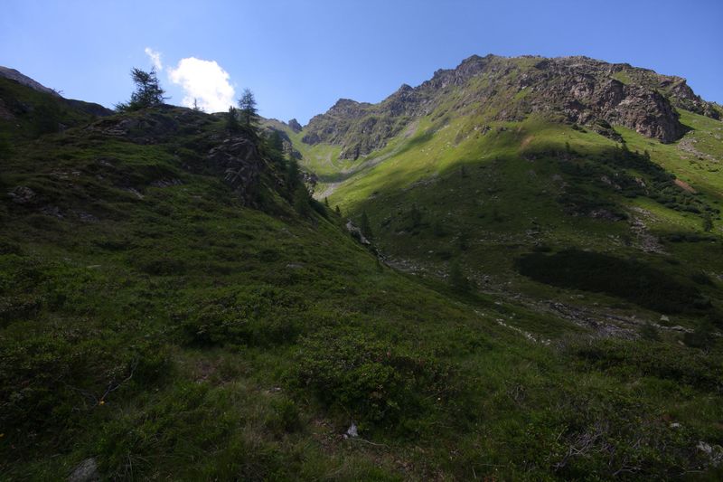 Datei:Innere alm 1532 2011-07-10.jpg