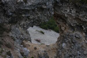 Jungfrauensteig 29308 2011-05-25.jpg