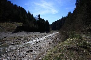 Kalte mandling011.jpg