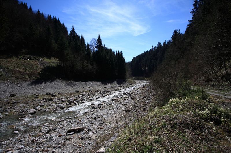 Datei:Kalte mandling011.jpg