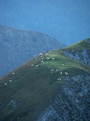 Meregg 18837 2006-10-04.jpg