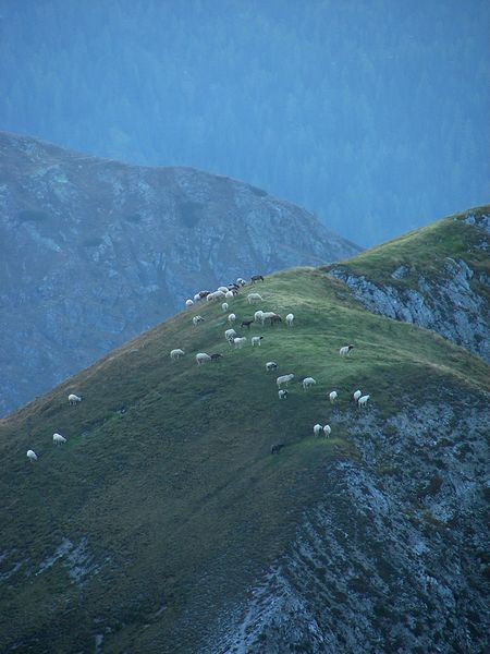 Datei:Meregg 18837 2006-10-04.jpg