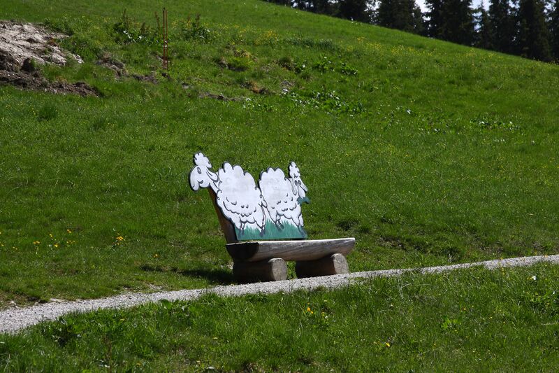 Datei:Schafalm planai 63741 2014-06-23.jpg